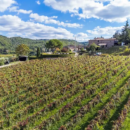 Lejlighed La Loggia By Interhome Lucolena in Chianti